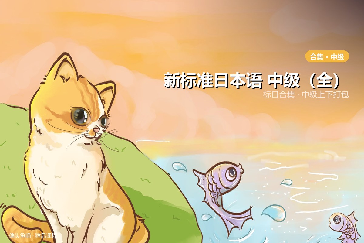 新标准日本语 中级（全）